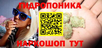 крисы Бузулук