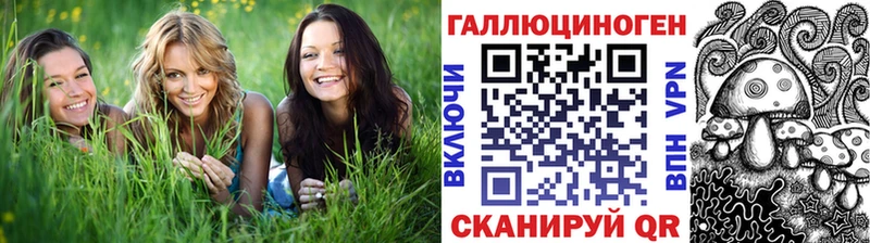 Псилоцибиновые грибы мухоморы  дарнет шоп  Кизилюрт 