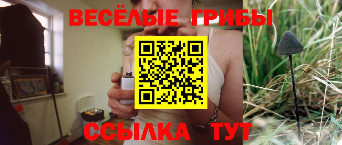 Галлюциногенные грибы прущие грибы Кизилюрт